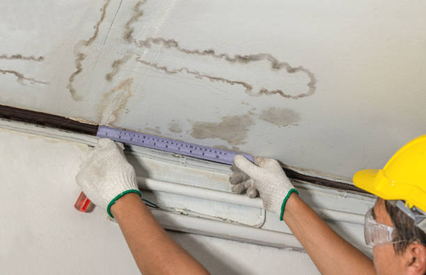 Reliable Water Damage contractor in Harvard, NE by Water Damage Irwin